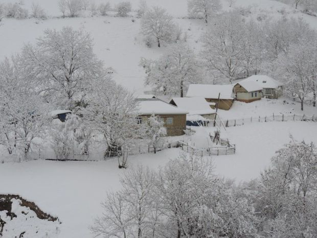 Şimal bölgəsində temperatur mənfi 17 dərəcəyədək enib