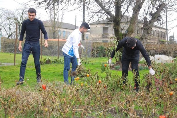 “Könüllü qonaq” təşəbbüsünə Lənkəran gəncləri də qoşuldu – FOTO