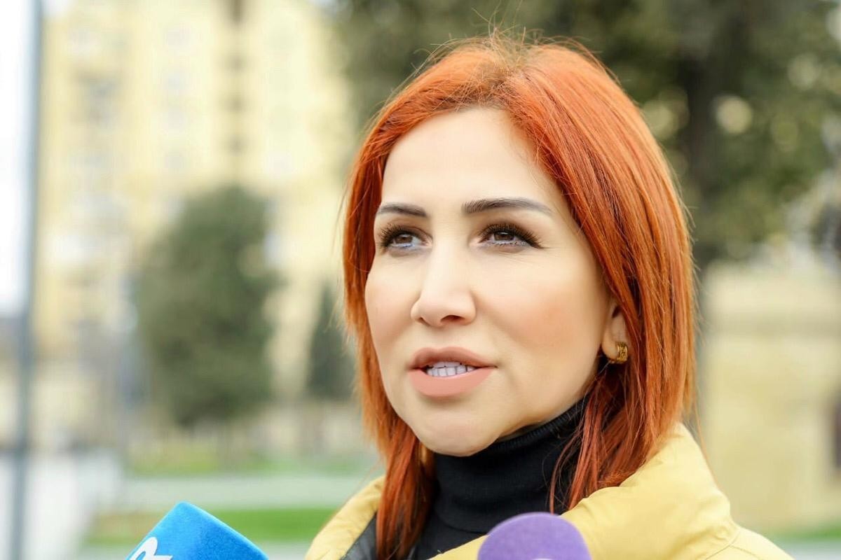 İradə İbrahimova: Gecə saatlarında xəlvəti şəkildə ağac kəsintisinə yol verilir